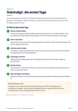 Seite 3 aus Kündigungsschutz leicht gemacht