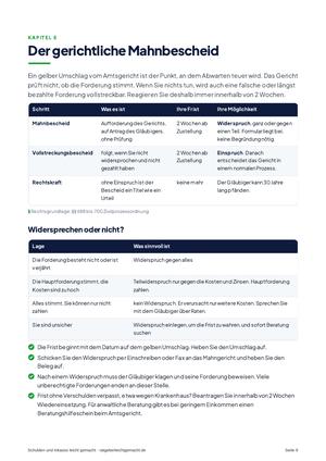 Seite 9 aus Schulden und Inkasso leicht gemacht