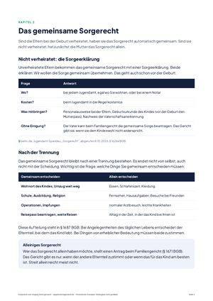 Seite 4 aus Sorgerecht und Umgang leicht gemacht